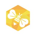 hexagonal modern bee logo and icon