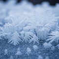 Hexagonal patterns typical of ice with some resembling branches or Royalty Free Stock Photo