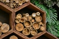 Hexagonal shaped beehives made of wood and bamboo in the Jardin Botanico de Medellin.