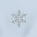 Hexagonal snowflake with intricate, symmetrical patterns and detailed branching. Set Royalty Free Stock Photo