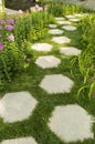 Unique path in the garden