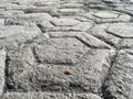 Hexagonal stone with peanuts