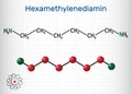 Hexamethylenediamine diamine molecule. It is monomer for nylon. Structural chemical formula and molecule model. Sheet of paper in