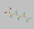 Hexanoic (caproic) acid molecule on gray