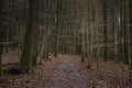 Hexenklamm walking trail in Germany Royalty Free Stock Photo