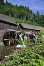 Hexenlochmuehle,black forest,schwarzwald,germany