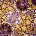 Hexgonal Yellow and Blue Fractal Structure