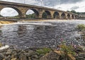 Hexham bridge and fish pass Royalty Free Stock Photo