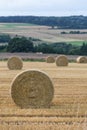 Hey bale wheat field Royalty Free Stock Photo