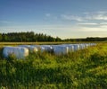 Hey bales at field Royalty Free Stock Photo