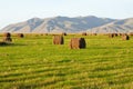 Hey rolls on agricultural lands of Khakassia. Royalty Free Stock Photo