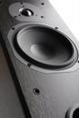 Hi-Fi Acoustic System Close-up