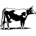 Vintage Clipart 261 bull standing in field