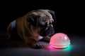 hi-tech pet toy with integrated audio and light features Royalty Free Stock Photo