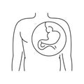 Hiatal hernia line icon. Vector isolated element.