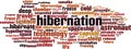 Hibernation word cloud