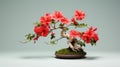 Hibiscus Bonsai: Meticulous Photorealistic Still Life With Red Flowers