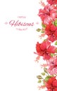 Hibiscus flower banner