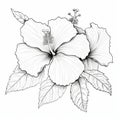 Hibiscus Flower Blackline Design For Coloring