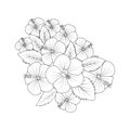 Hibiscus flower doodle art, hand drawing hibiscus flower bouquet, Realistic hibiscus flower coloring pages.