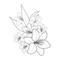 Hibiscus flower drawing. Hibiscus flower tattoo. Hibiscus flower outline, shoe flowers bouquet.