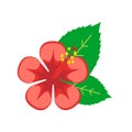 Hibiscus flower flat icon isolated on white background. Exotic, summer, tropical, beauty concept for logo, banner, web design Royalty Free Stock Photo