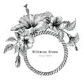 Hibiscus flower frame hand drawing vintage clip art Royalty Free Stock Photo