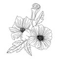 Hibiscus flower illustration. Modern botanical drawing for pattern, logo, template, banner, posters, invitation, and greeting card Royalty Free Stock Photo