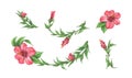 Hibiscus flower and leaves set. Line borders, laurels and text divider. Watercolor illustration Royalty Free Stock Photo