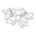 Hibiscus Flower Monochrome Drawing For Coloring Book