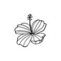 Hibiscus flower outline. Hibiscus line art vector illustration isolated on white background. Tropical flower silhouette Royalty Free Stock Photo