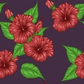 Hibiscus flower pattern by hand drawing.