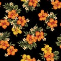 Hibiscus flower pattern