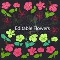 Hibiscus, karkade flower set. Tropical flowers