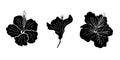 Hibiscus flower silhouette set. Isoalted on white background. Royalty Free Stock Photo