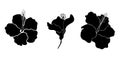 Hibiscus flower silhouette set. Isoalted on white background. Royalty Free Stock Photo