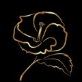 Hibiscus flower sketch gold on black