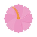 Hibiscus flower tropical floral nature flat icon style