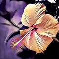 Hibiscus flower in the tropical garden. Digital illustration of orange exotic flower with leaves on background. Royalty Free Stock Photo