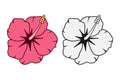 Hibiscus flower. Tropical Hawaiian flower set. Vector. Royalty Free Stock Photo