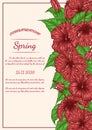 Hibiscus flower vector card by hand drawing. Royalty Free Stock Photo