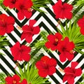 Hibiscus flower vector seamless pattern on a abstract chevron background flowered tropical texture