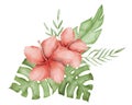 Hibiscus Flower Watercolor illustration. Hand drawn clip art on isolated background. Drawing of a Tropical blooming Royalty Free Stock Photo