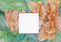 Hibiscus flowers, china rose or shoe flower on leaf background. Hand drawn with watercolor pencil on paper with copy space for Royalty Free Stock Photo