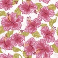 Hibiscus flowers fresh seamless pattern Royalty Free Stock Photo