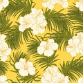 Hibiscus flowers and leaves seamless pattern background.