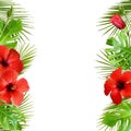 Hibiscus flowers and palm leaves in tropical border arrangements Royalty Free Stock Photo