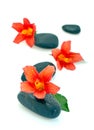 Hibiscus flowers on spa stones Royalty Free Stock Photo