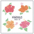 Hibiscus flowers vector set