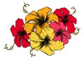 Hibiscus Flowers Royalty Free Stock Photo